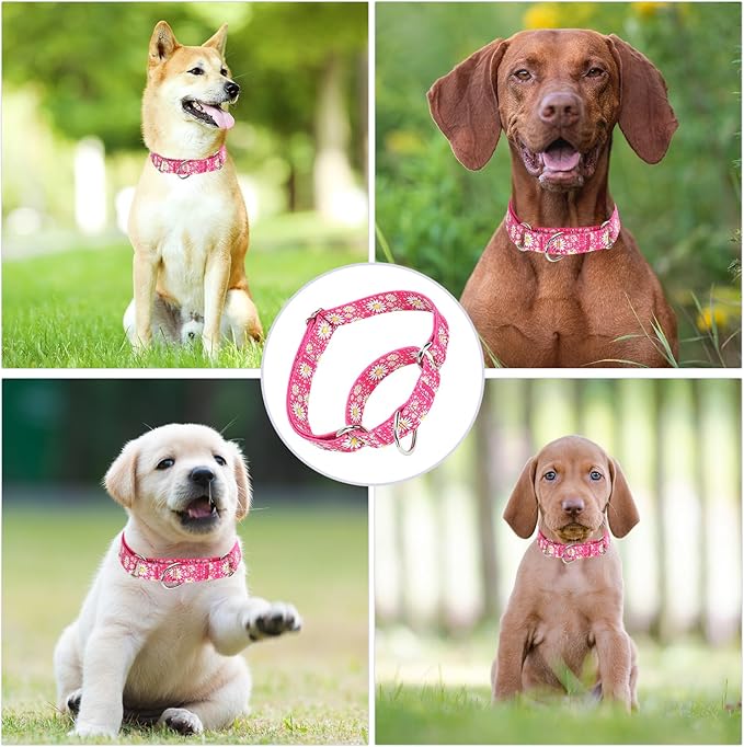 Martingale Collar for Medium Dogs, Girl Dog Collar with Daisy Flowers, Heavy Duty No Pull Dog Collar Floral Design Dog Training Collar, Perfect for Training, Walking, Hunting (Dark Blue, M)