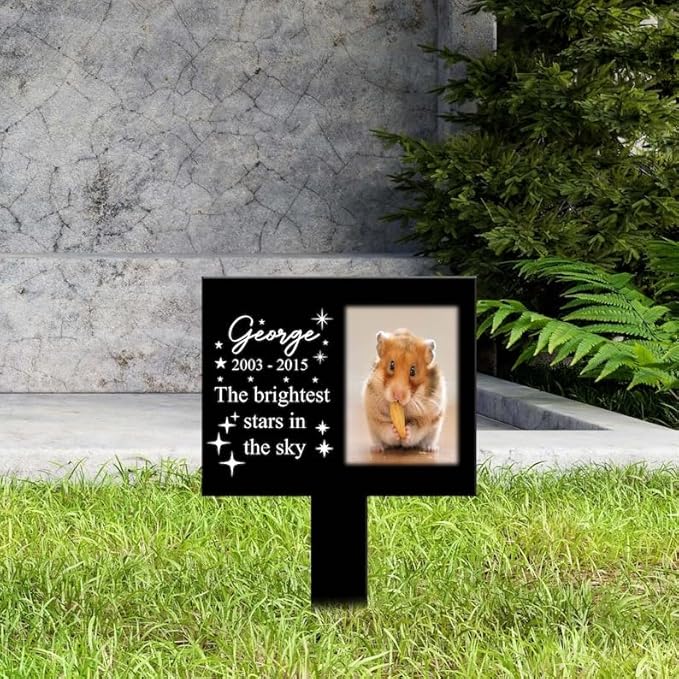 Personalized Hamster Memorial Stake Custom Hamster Photo The Brightest Stars in The Sky Metal 8x8 inch Pet Grave Marker Hamster Loss Gift Sympathy Gift for Hamster Lover (Style 11)