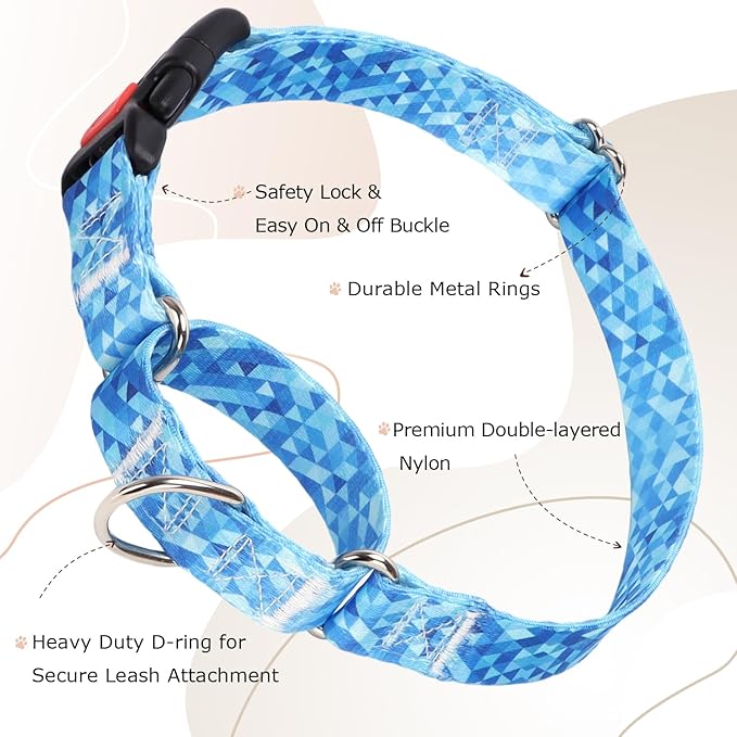 Martingale Collar for Dogs, Blue Dog Collar for Small Medium Large Dogs, Adjustable Safety Buckle Dog Collar, Perfect Boy and Girl Collar for Training, Walking, Hunting (L)