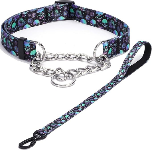Martingale Dog Collar with Stainless Steel Chain - Limited Chain Cinch Training Collar for No Pull Training Dog - Flower Multicolor Cute Patterns - Premium No Slip Collar (M, Skull Set)