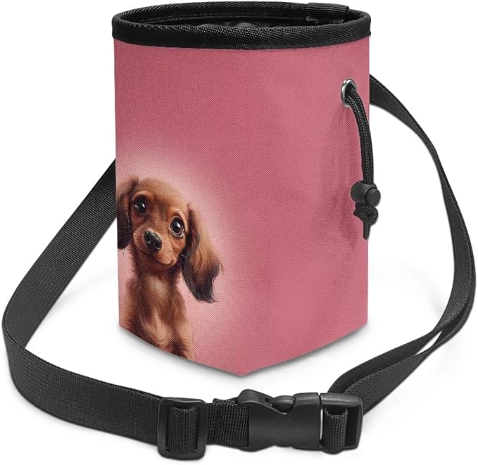 Dachshund Dog Treat Bag Animal Walking Snack Container, Puppy Dog Training Treat Bag Dog Food Dispenser Treat Snack Bags for Pet Puppy Travel or Outdoor Use