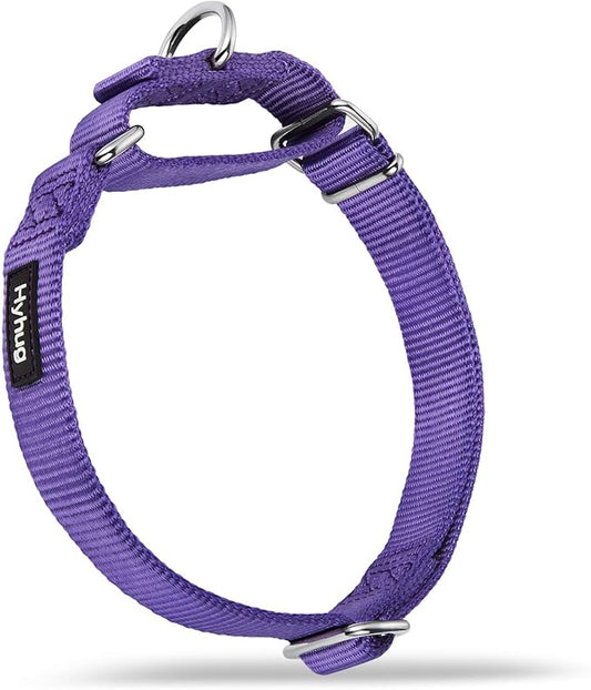 Hyhug Martingale Dog Collar Medium Purple |Escape - Proof Heavy Duty Nylon Durable No Slip, Ideal for Training & Daily Walks