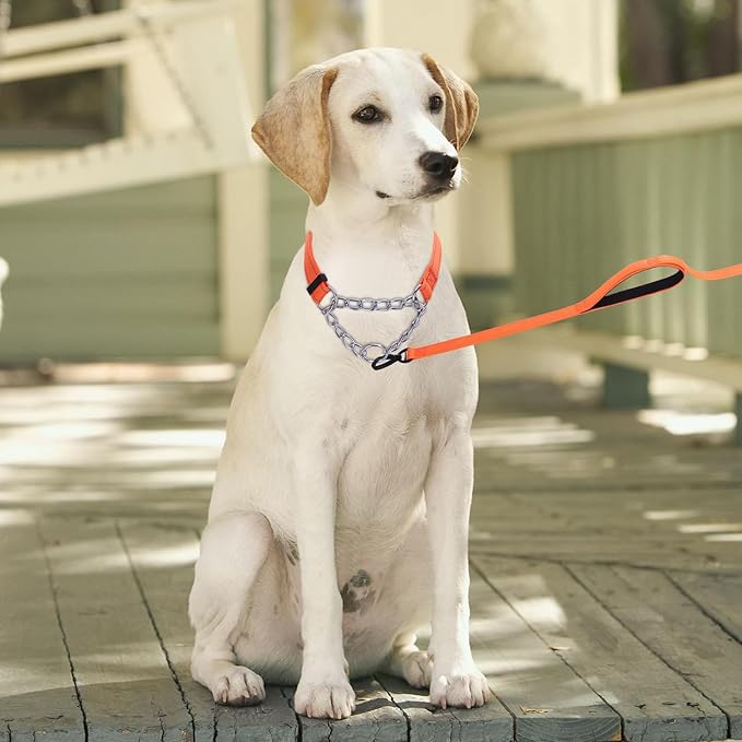 Martingale Dog Collar with Stainless Steel Chain and Leash Set, Martingale Collar with Reflective, 5FT Double Handle Dog Leash Padded, Adjustable for Medium Large Dogs (Orange Collar, M)