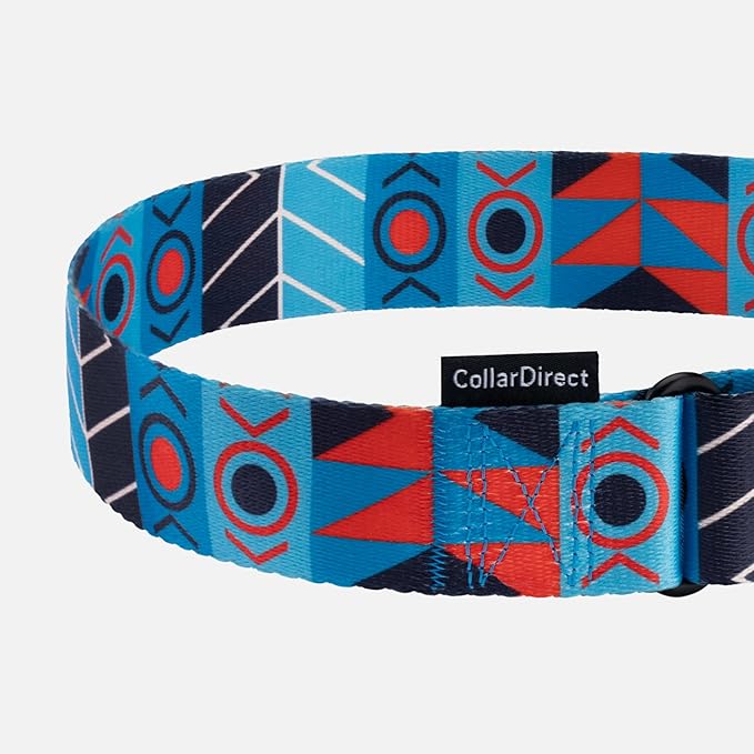 CollarDirect Aztec Martingale Collars for Dogs Heavy Duty Tribal Pattern Safety Nylon Training Collar Large Medium Small (Blue Ethnic, L, Neck Size 15"-20")