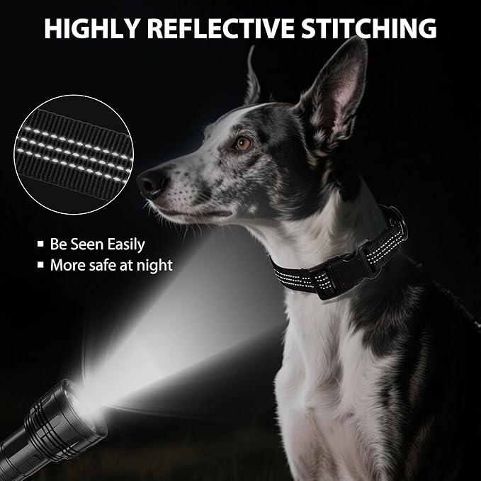 Martingale Dog Collar Quick Release Buckle No Pull Reflective Non-Slip for Medium Large Dogs Training (Black, Large)