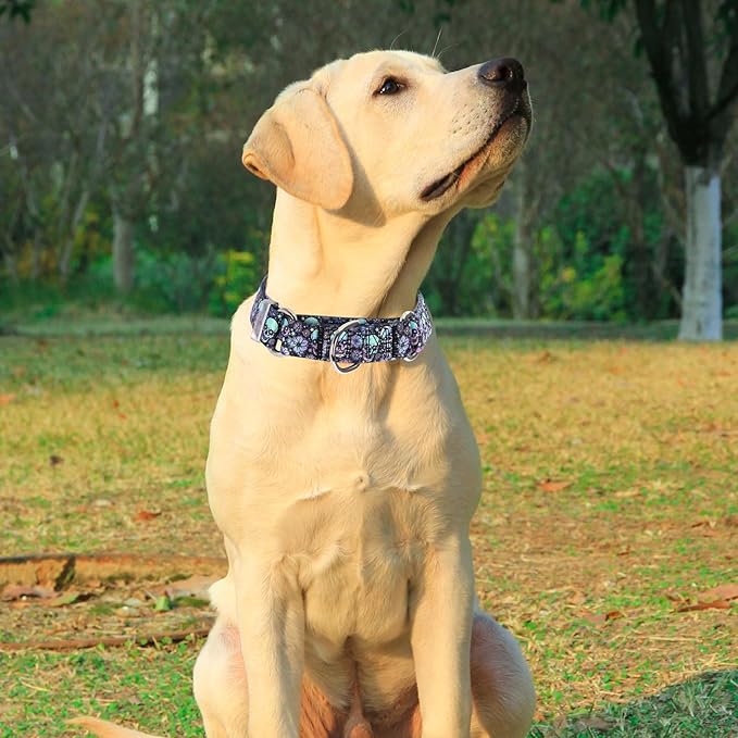 Skull Martingale Dog Collar for Large Breed Pet Dogs No-Slip Escape Proof Choke No Pull Cinch Soft Dog Collar for Male and Female Dogs No Buckle -for Training & Walking L
