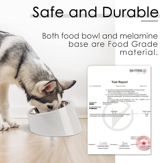 SuperDesign Mess Free 15° Slanted Bowl for Dogs and Cats, Tilted Angle Bulldog Bowl Dog Feeder, Non-Skid & Non-Spill, Easier to Reach Food S/0.5 Cup Gray