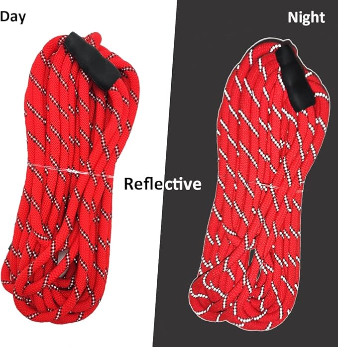 Reflective Long Slip Lead Dog Leash Anti-Choking 12 FT/20 FT/30 FT/50 FT Rope Training Leash for Medium Dogs Small Puppy Pets (12ft, red)