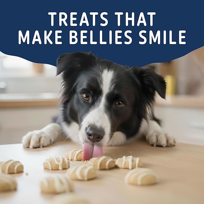 Natural Balance Yo-Gut Bites Crunchy Dog Treats with Real Oats & Blueberries, Greek Yogurt Drizzle, Probiotics for Digestive Support, 4.5oz Bag