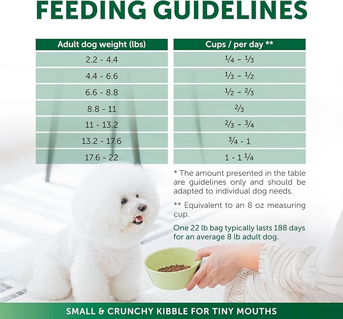 Nature's Protection Dry Dog Food for Small Breed - High Protein Tear Stain Diet for White & Light Fur Adult Dogs - Small Bites Kibble (Superior Care - Lamb and Rice, 3.3 lb)