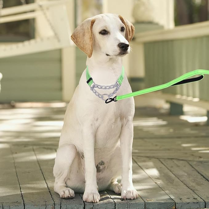 Martingale Dog Collar with Stainless Steel Chain and Leash Set, Martingale Collar with Reflective, 5FT Double Handle Dog Leash Padded, Adjustable for Medium Large Dogs (Green Collar, L)