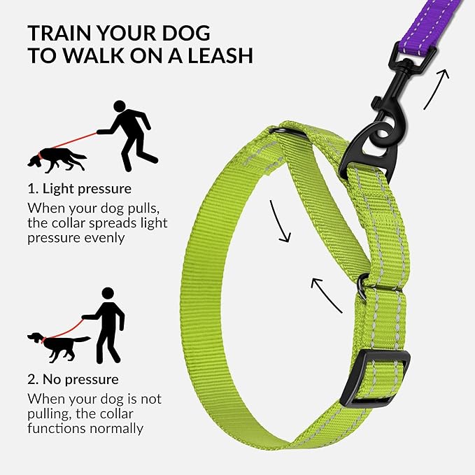 Collardirect Reflective Martingale Dog Collar Nylon Training Collars for Small Medium Large Dogs Puppy Pink Orange Green (L, Neck Size 16"-24", Lime Green)