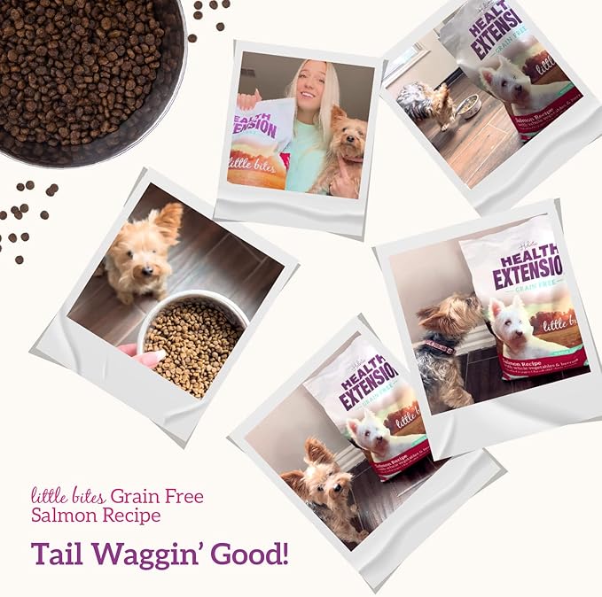 Health Extension Grain Free Salmon & Sweet Potato Little Bites Small Kibble Formula with 30+ Superfoods, Omega 3, and Probiotics for Teacups, Toys & Miniature Dogs (12 lb)