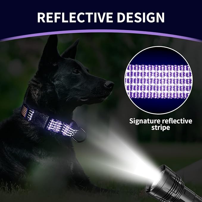 Martingale Collar for Training Dogs. Adjustable Reflective Collars with Buckle-USA Flag- NO Pull-Prevents Slipping Out, for Medium Large XL Dogs. Helps with Strong pullers(L, Purple)