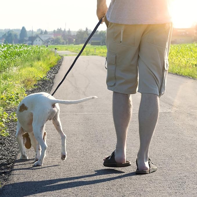 LWBMG Leather Dog Leash 8ftx1/2 inch, Heavy Duty Dog Leashes, Strong and Sturdy Handmade Pet Leashes, Soft and Comfortable Leather Leash for Medium Large Dogs Training and Walking Black