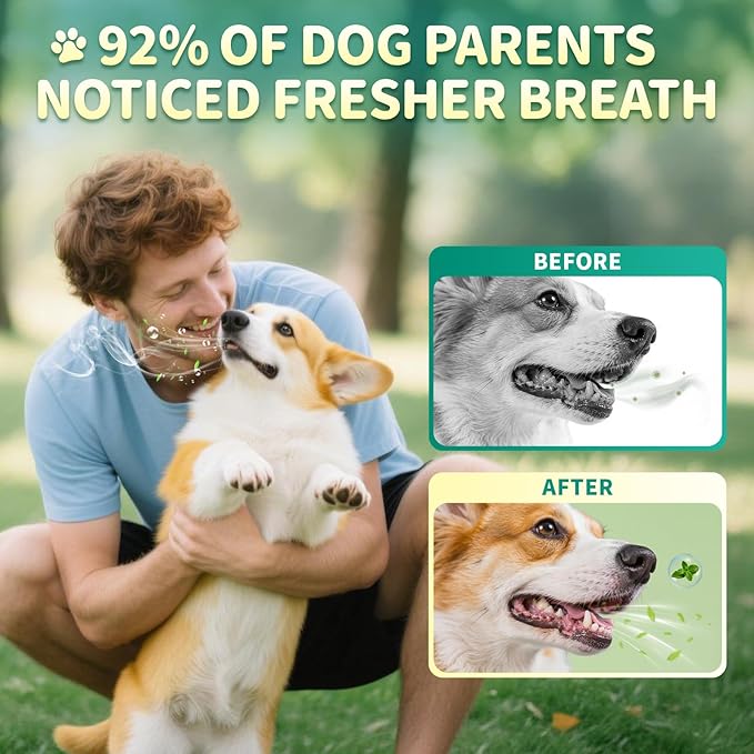 Dog Dental Powder – Teeth Cleaning Powder with 6B CFU Probiotics, Enzymes & Antioxidants, Plaque & Tartar Off, Fresh Breath Support, 75 Days, Mint Chicken Flavor, No Brushing Oral Care