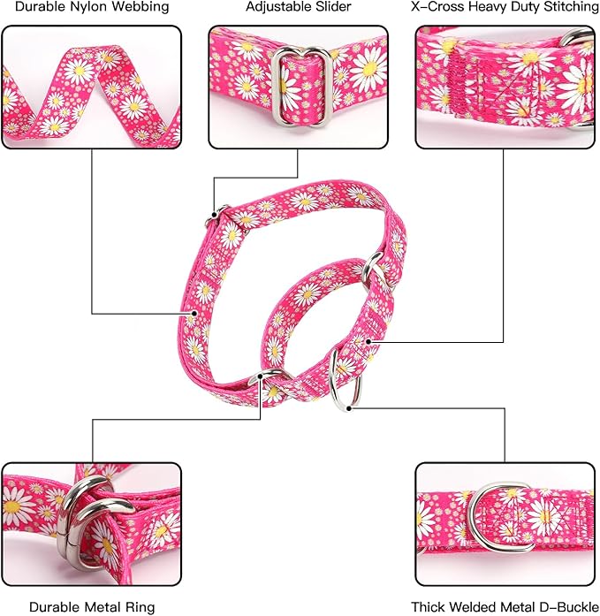 Martingale Collar for Medium Dogs, Girl Dog Collar with Daisy Flowers, Heavy Duty No Pull Dog Collar Floral Design Dog Training Collar, Perfect for Training, Walking, Hunting (Light Blue + Leash, M)