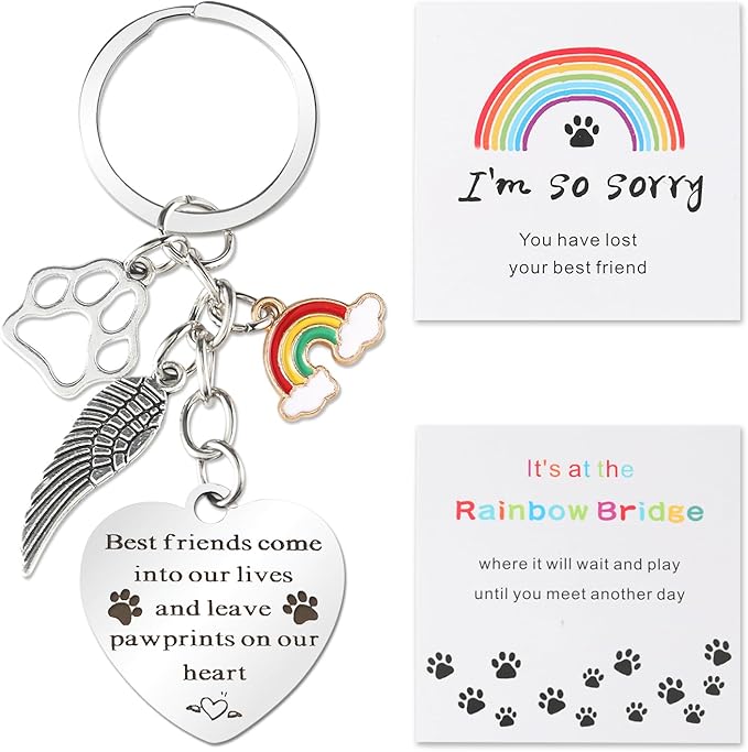 Pet Memorial Gifts, Pet Memorial Keychain, Dog Memorial Gifts, Rainbow Bridge Paw Print Presents, Sympathy Gift, Pet Lover Key Chain