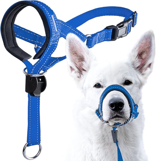 GoodBoy Dog Head Halter with Safety Strap - Stops Heavy Pulling On The Leash - Padded Headcollar for Small Medium and Large Dog Sizes - Head Collar Training Guide Included (Size 1, Blue Nylon)