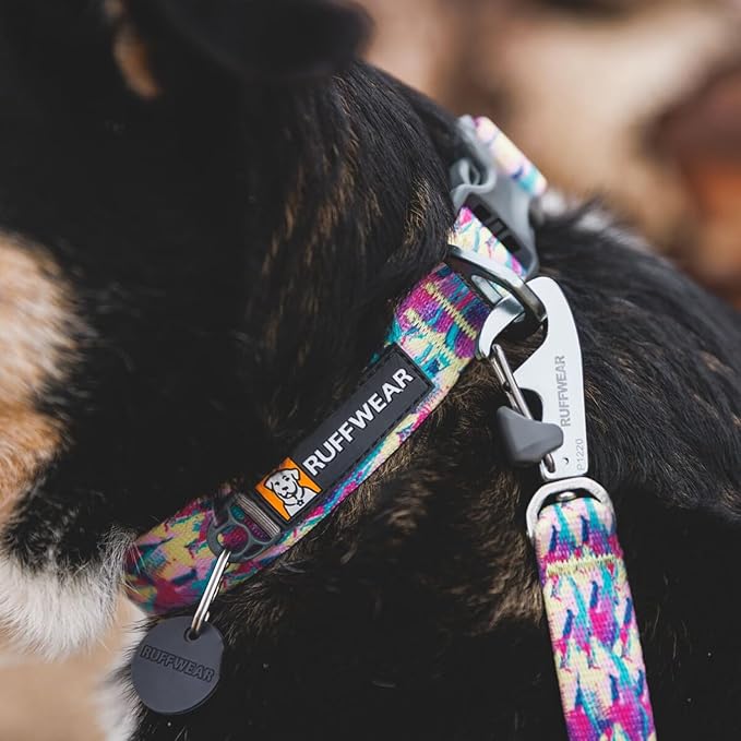 Ruffwear, Front Range Dog Collar, Adjustable Tubelok Webbing, Lightweight, Side Release Buckle, Aluminum V-Ring, Durable for Everyday Use, Spring Fade, 14"-20"