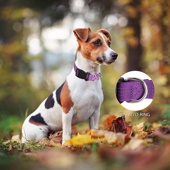 Martingale Dog Collar with Quick Release Buckle Steel Chain No Pull Training Reflective Collar for Medium Large Dogs(Purple, Medium)