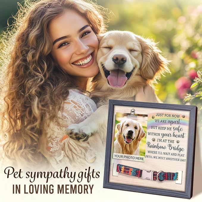 Pawfect House 9x9 Inches Pet Memorial Picture Frame With Collar Holder, Pet Memorial Gifts For Dogs, Loss Of Dog Sympathy Gift, In Loving Memory Rainbow Picture Frame, Dog Bereavement Gifts