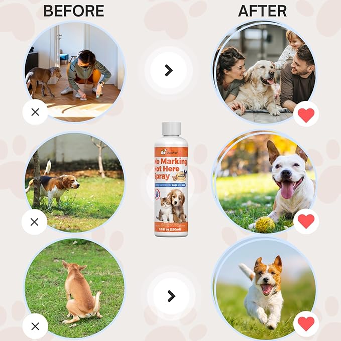 Qucship 8oz Indoor Dog Pee Deterrent Powder – No Pee Spray for Dogs - Reduce Indoor Marking Issues with This Pet Spray - no Marking Spray for Dogs Indoor Deterrent Powder – No Pee Spray for Dogs