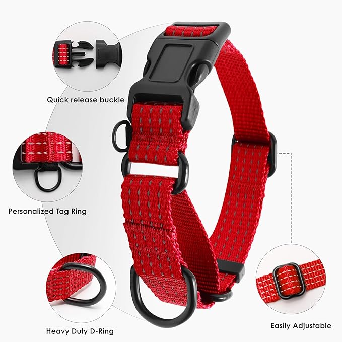Martingale Collar for Dogs, Adjustable Soft Nylon Dog Collars with Special Design Cute Patterns (RED, S (1" x 12"-15.8"))