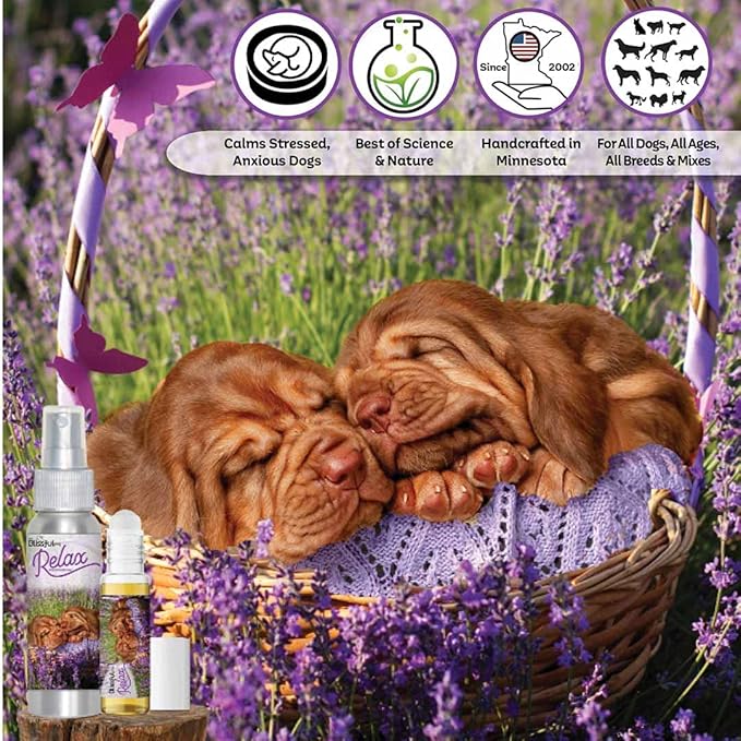 The Blissful Dog Bloodhound Relax Dog Aromatherapy Spray for Your Dog's Anxiety