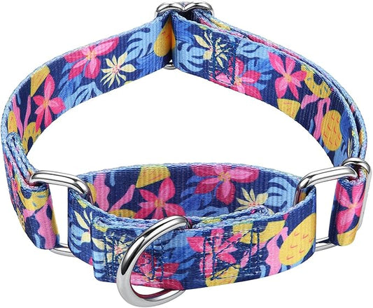 Mikivery Martingale Collar 1 inch Slip On and Off,NO Buckle Gently Tightens Medium and Large Collars