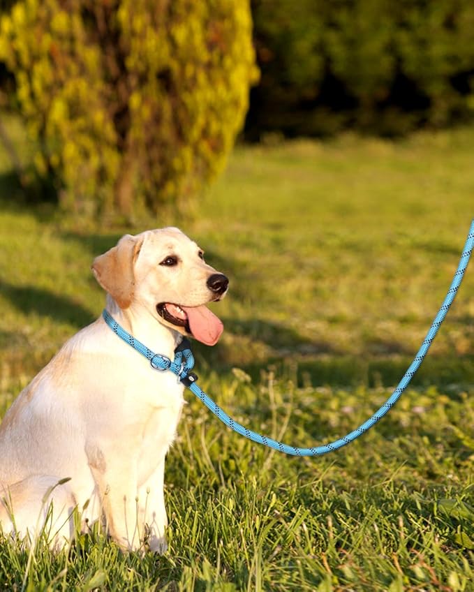 TagME Slip Leads for Dogs that Pull, 6 FT No-Pull Training Leash with Lock, Escape-Proof Design, Reflective & Padded Handle for Large Dogs, Blue