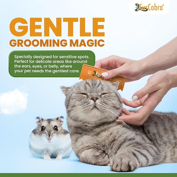 Direct 10 Pet Grooming Brush 3.54" - Gentle, No Metal Blades, Soft Dog, Cat Brush - Train Pets to be Brushed - Portable, Easy To Use Slicker Pet Grooming Tool for Dog, Cat, Puppy, Kitten Hair