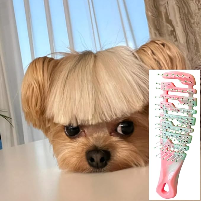 hhfvvdaRidge Design Puppy Brush - Soft Bristle Gentle Grooming Tool for Small Dogs - Pet Hair Care for Yorkie, Maltese, Shih Tzu, Maltipoo - Gradient Color
