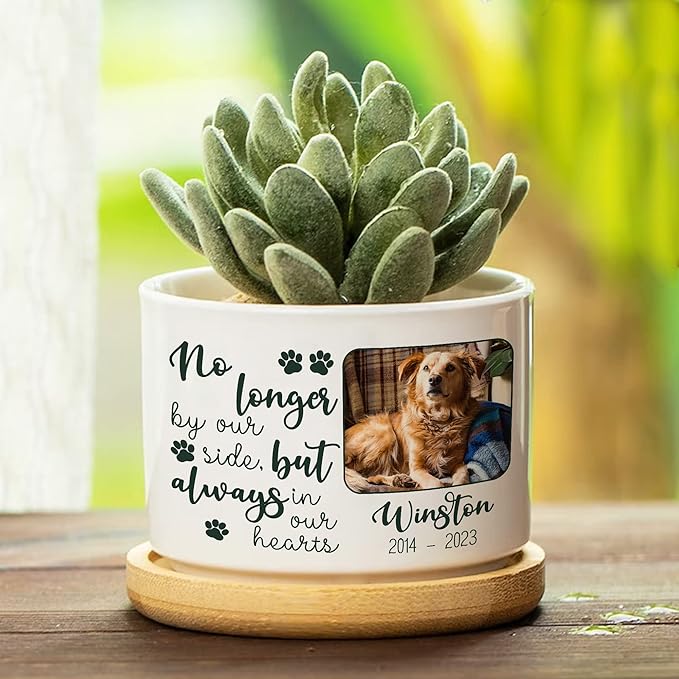 Customized Dog Memorial Plant Pots for Grieving Pet Owners Personalized Dog Memorial Gifts Plant Pots Pet Loss Gifts Cat Loss Sympathy Name Date Image Plaque