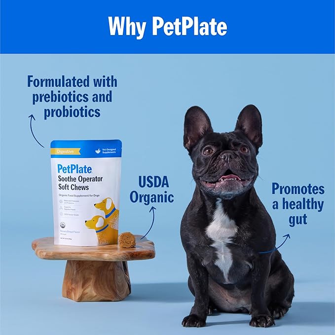 PetPlate Soothe Operater Digestive Soft Chews for Dogs, Made with Prebiotics & Probiotics, USDA Organic Supplement, Grain-Free, Human-Grade, Pet Supplies, (Pack of 1, 9.8 Ounce)