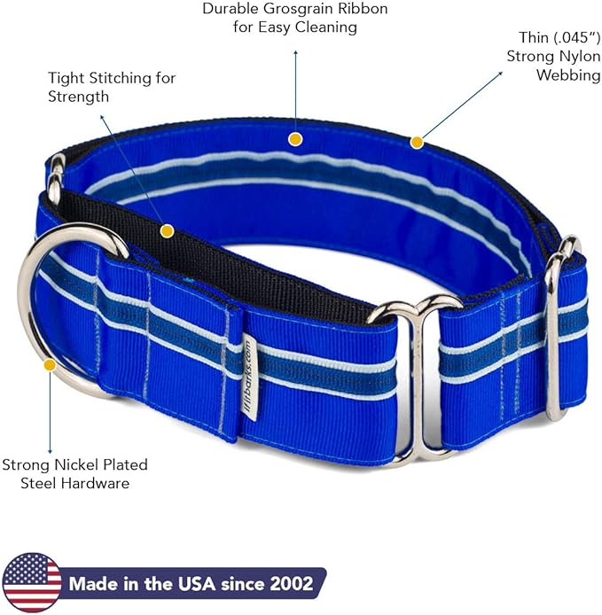 If It Barks - 1.5" Martingale Collar for Dogs - Adjustable - Nylon - Strong and Comfy - Ideal for Training - Made in USA - Medium, Blueberry