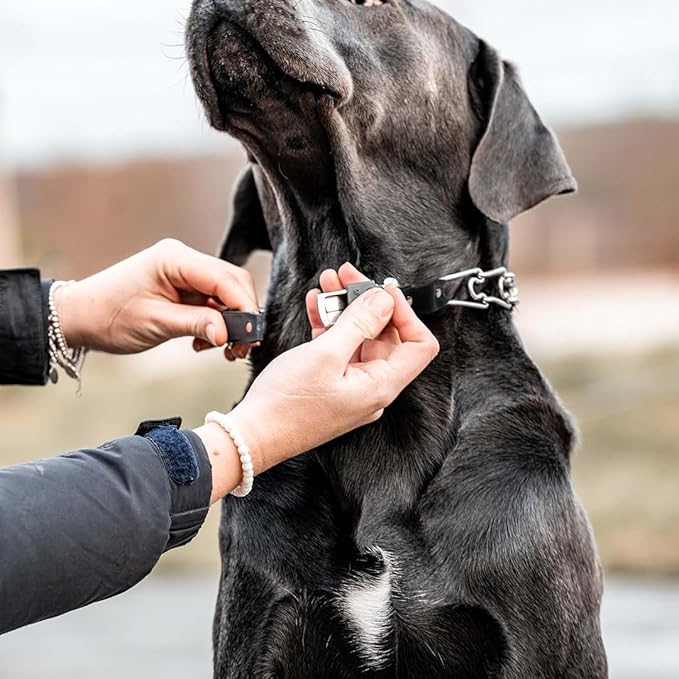 Herm Sprenger 3mm Prong Collar for Dog Training with Easy Quick Release Cliclock & ORing - German Made Dog Collar for Large Dogs (20-25" Neck)