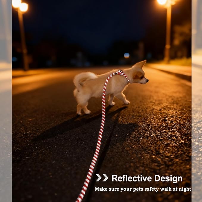 WYUZE 8ft Slip Lead Dog Leash, Reflective No Pull Dog Training Lead, 1/3" Nylon Rope Slip Control Leash for Small Medium Dogs, Red