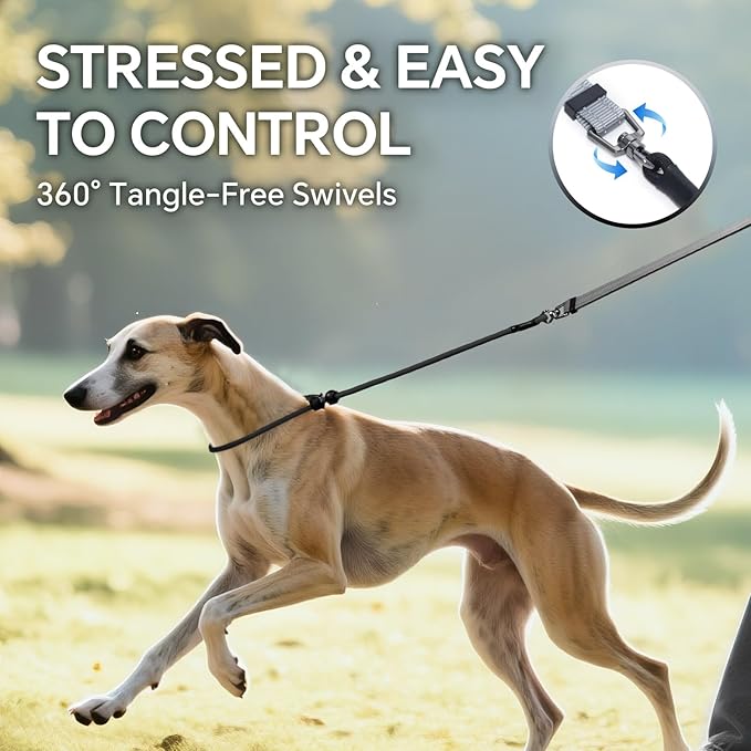 QQPETS Adjustable Slip Lead Dog Leash, Hands Free Waist Leash for Dog Walking, Reflective Training Lead with 360° Swivel Anti-Tangle, 4-7 ft Length for All Breeds