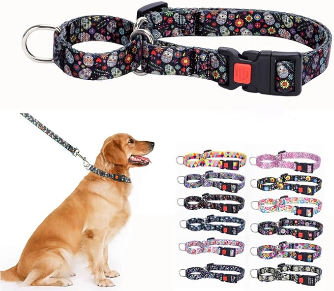Choker Collar for Dogs, No Pull Escape Proof Limited Choke Pinch Pet Martingale Collars Quick Release Buckle with Lock for Small Medium Large Breed Dogs, Female Skull S