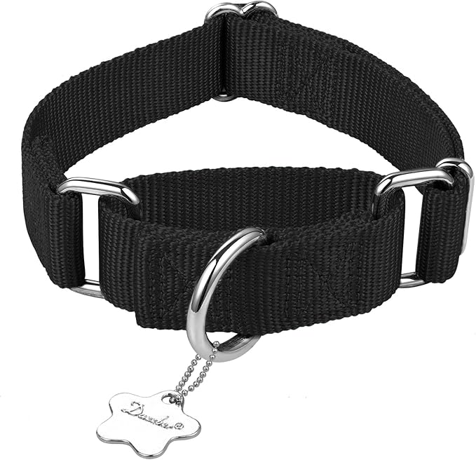 Martingale Dog Collar, No-Buckle Escape-Proof Design, Heavy-Duty Nylon and Welded D-Ring, Adjustable Training Collar for Medium Large Dogs (Classic Black, L)