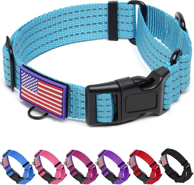 Martingale Collar for Dogs, Reflective Heavy Duty with Quick Release Nylon Buckle-USA Flag-No Pull Training Choker for Walking, Training, Sky Blue,L