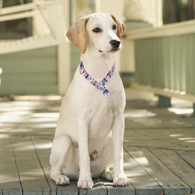 Training Dog Collar, No Pull Martingale Collar, Slip Collar with Slidable Stop Ring for Small, Medium, Large Dogs (L, Fireworks)