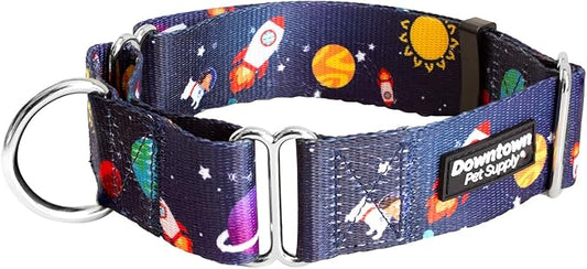 Downtown Pet Supply - Martingale Collar for Dogs - Dog Training Collar - Big, Wide & Thick Dog Collar - Escape-Proof, Weatherproof, Durable and Comfortable - Space - Small Dog Collar