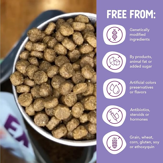Health Extension Grain Free Chicken & Turkey Little Bites Small Kibble Formula with 30+ Superfoods and Probiotics for Teacups, Toys & Miniature Dogs (12 lb)