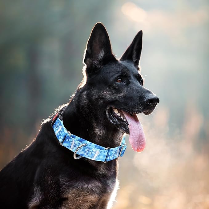 Martingale Collar for Dogs, Blue Dog Collar for Small Medium Large Dogs, Adjustable Safety Buckle Dog Collar, Perfect Boy and Girl Collar for Training, Walking, Hunting (M)