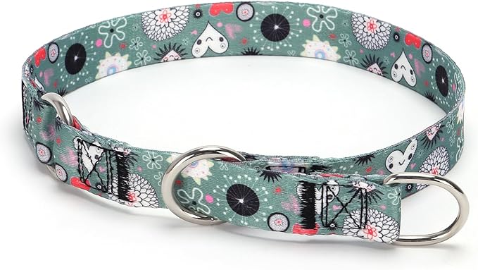 Training Dog Collar, No Pull Martingale Collar, Slip Collar with Slidable Stop Ring for Small, Medium, Large Dogs (NO5, L)