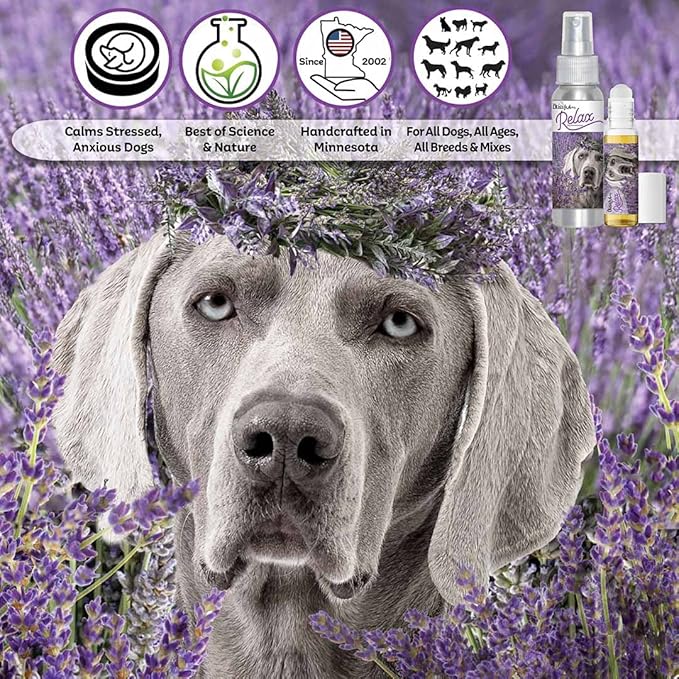 The Blissful Dog Weimaraner Relax Roll-ON Aromatherapy for Dogs - Anxiety Relief for Dogs