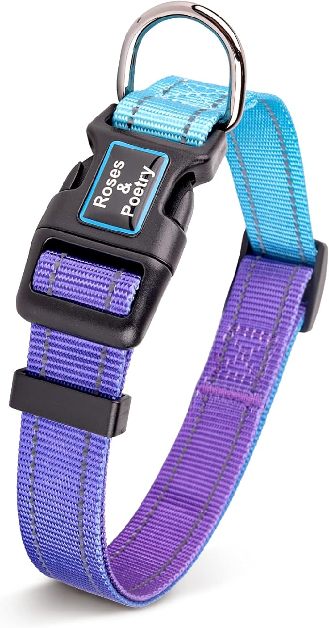 Roses&Poetry Reflective Dog Collar and Leash for Small Dogs, Puppy Collars with Leashes Set Gradient Violet, Adjustable Durable Pets for Extra Puppies（Violet-XS