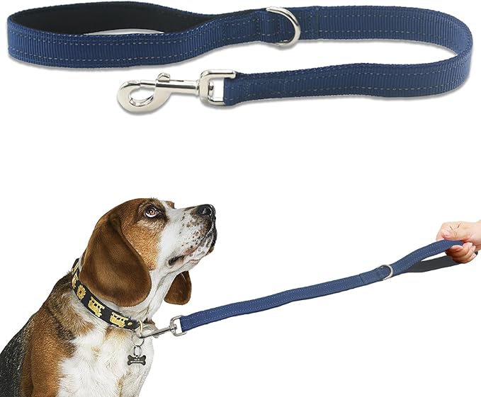 Nylon Short Leash 24 Inches Durable Dog Lead with Handle, Heavy Duty Dog Padded Handle and D-Ring for Control, Traffic 2FT Long for Small to Large Sized Dogs Training Leash Blue